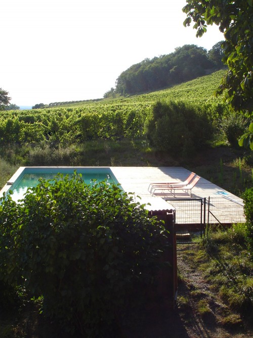 La piscine en creux dans les vignes
