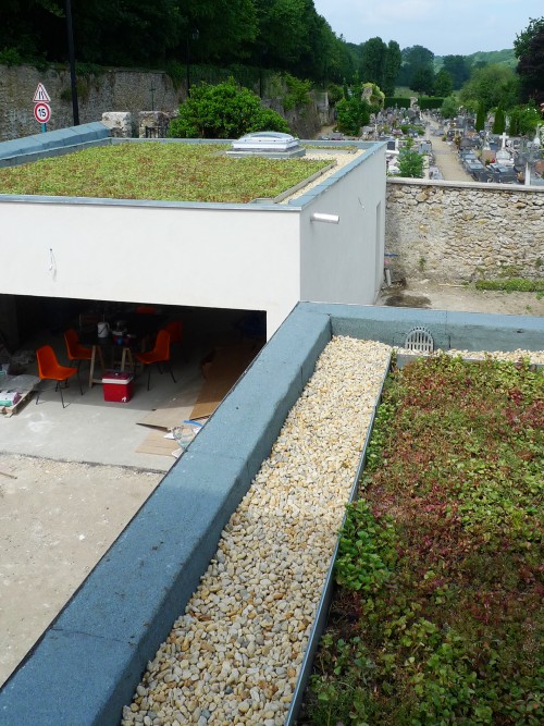 planted roof of the extension
