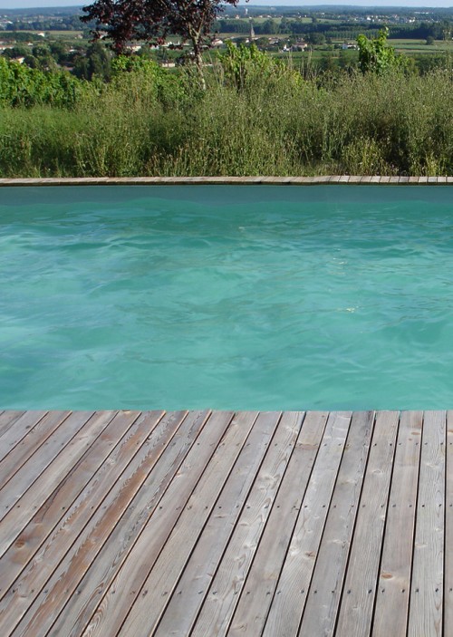 POOL AND SHED IN THE VINEYARDS
